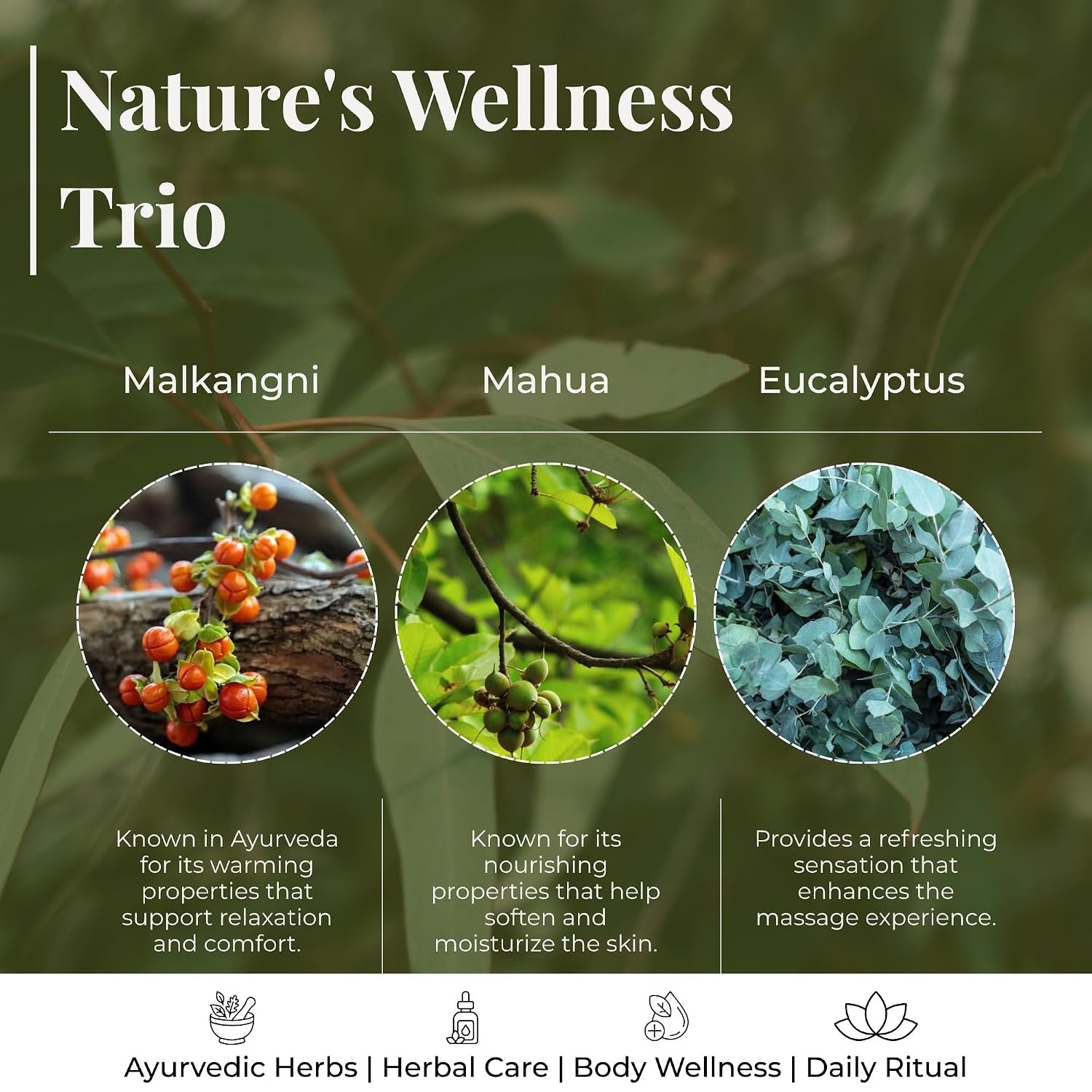 Ayurvedic Body Massage Oil (Malkangni, Olive, Wintergreen, Ashwagandha) - Image 6
